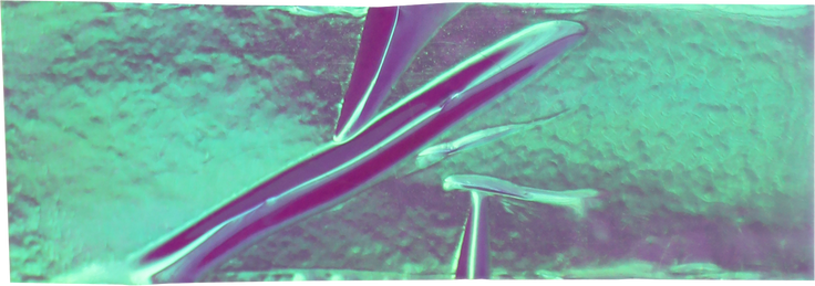 Green Shiny Sticky Tape Texture